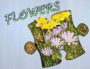 Botanical Picture Arranger