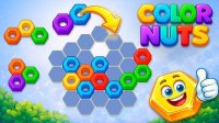 Nut Match Puzzle