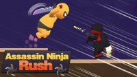 Shadow Runner: Arcade Adventure