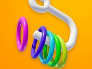 Hook and Rings Puzzle Game