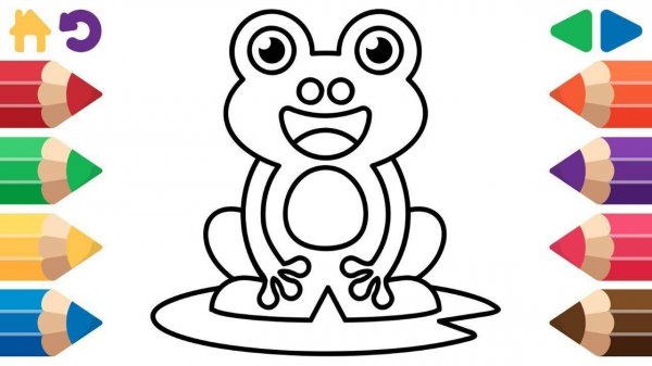 Animal Paint: Creative Coloring Game