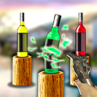 Bottle Aim Challenge Arcade