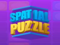 3D Shape Arrangement Puzzle