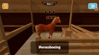 Farrier Care Simulator