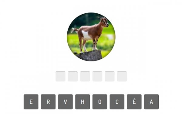 Wildlife Identification Challenge