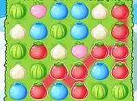 Garden Match Puzzle